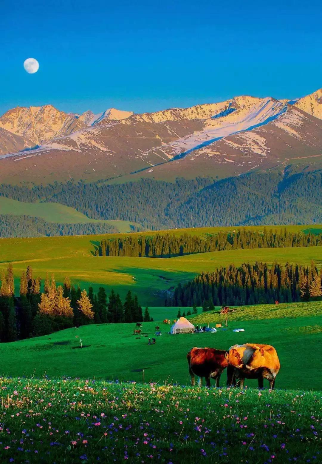 新疆，梦想翱翔之地