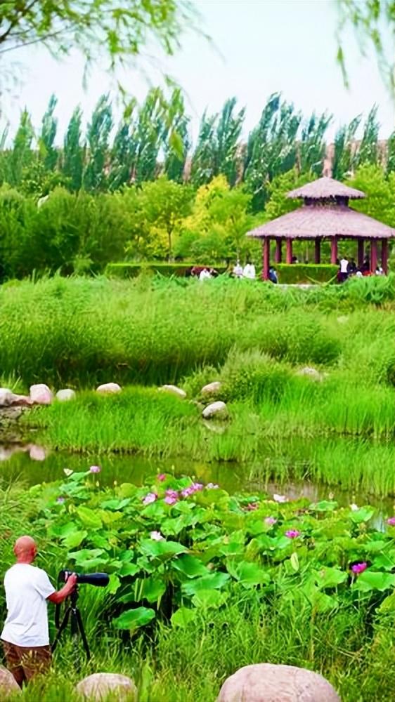 包头,友情的温馨日常之旅